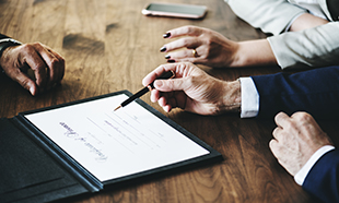 Meridian Law Partners legal service